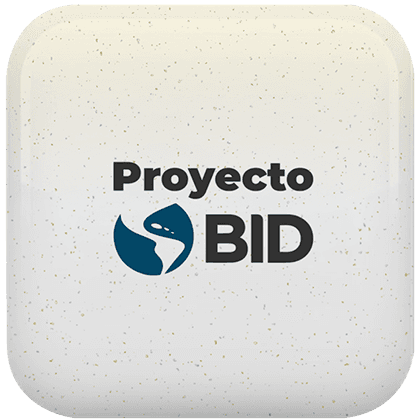 Proyecto BID